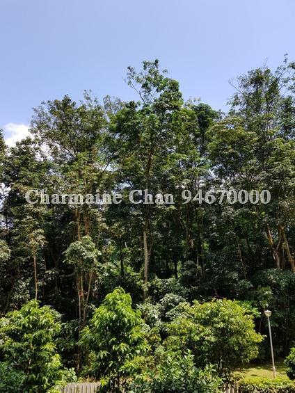 Eco Sanctuary (D23), Condominium #165441492